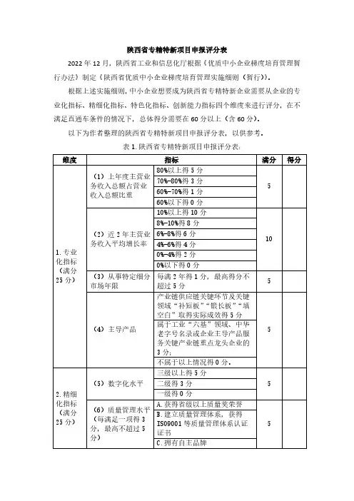 陕西省专精特新项目申报评分表