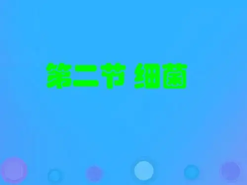 5.4.2《细菌》课件(25张PPT)