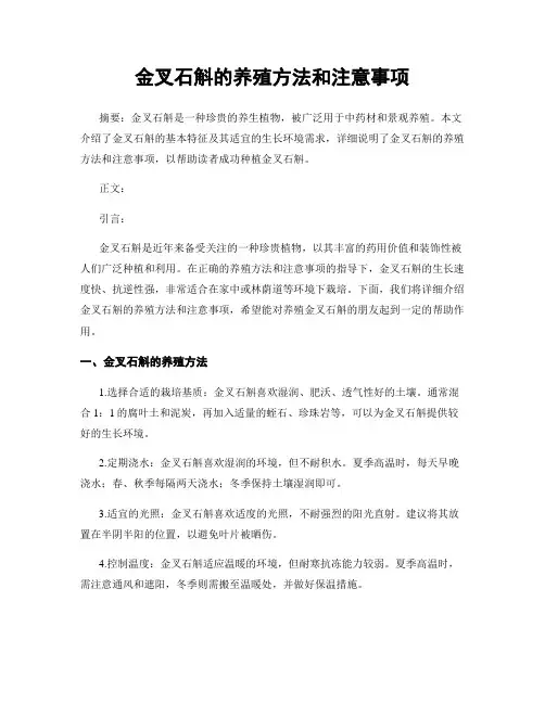 金叉石斛的养殖方法和注意事项