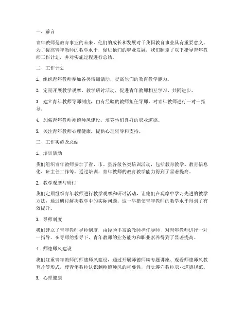 指导青年教师工作计划总结