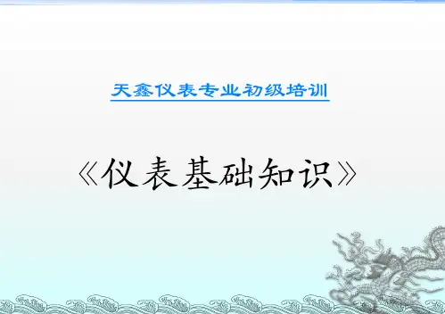 天鑫PAE仪表培训