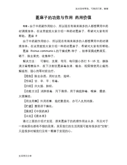 蓖麻子的功效与作用 药用价值