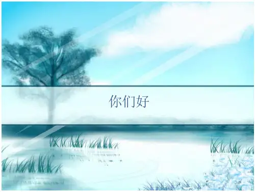 矿用电缆与电缆连接器.PPT