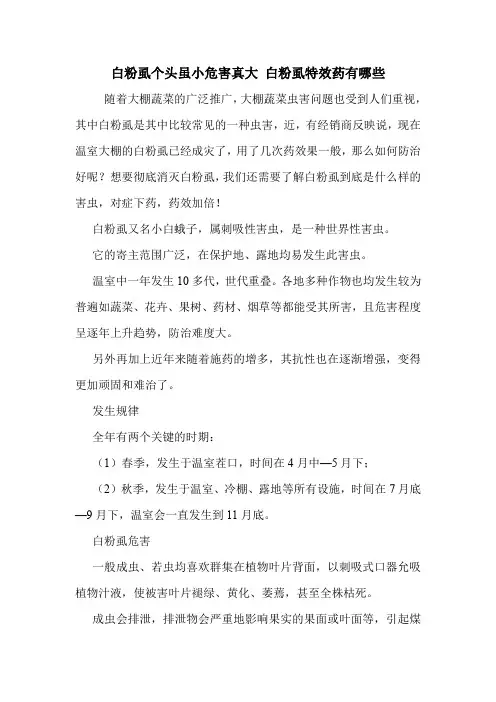 白粉虱个头虽小危害真大 白粉虱特效药有哪些