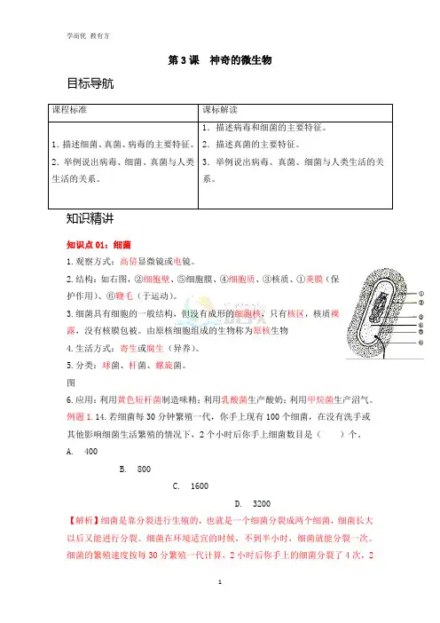八上生物《神奇的微生物》同步精品讲义(解析版)