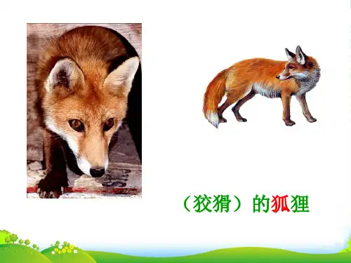 部编版二年级上册语文《狐假虎威》3课件