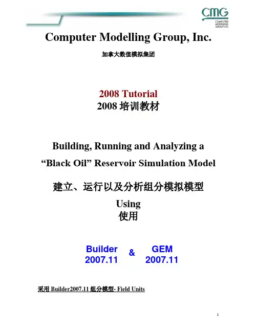 CMG软件GemWinProp