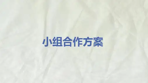 小组合作方案PPT