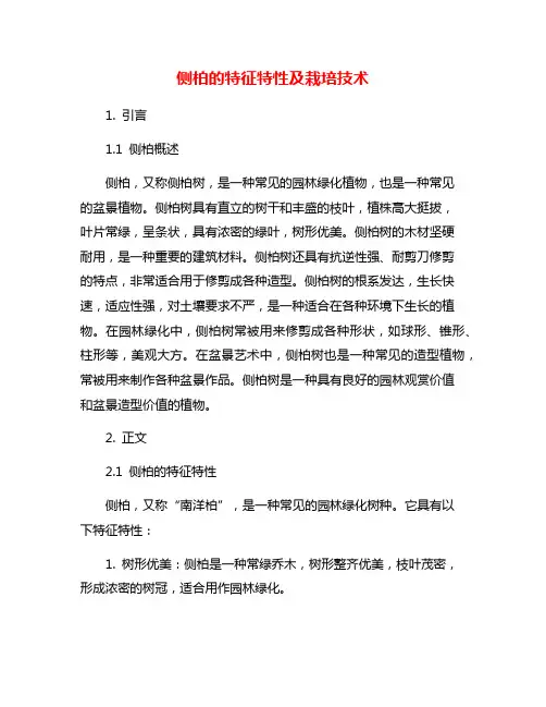 侧柏的特征特性及栽培技术
