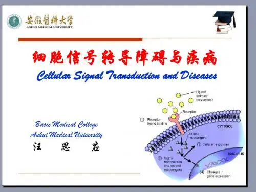第十一章细胞信号转导与疾病