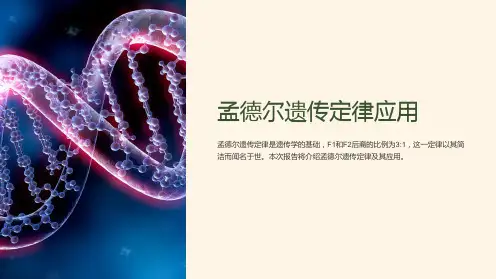 孟德尔遗传定律应用