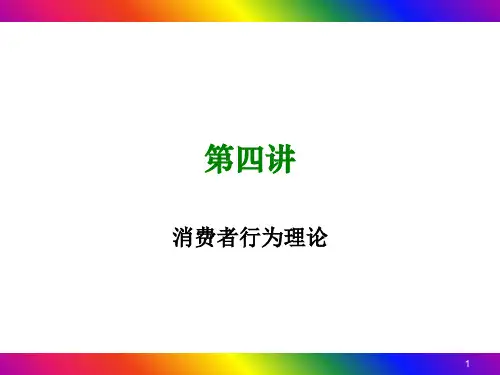 4消费者行为理论