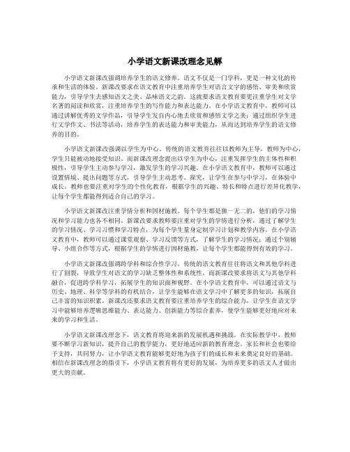 小学语文新课改理念见解