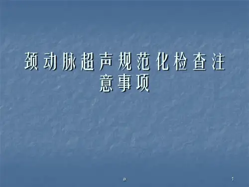 颈动脉超声检查规范