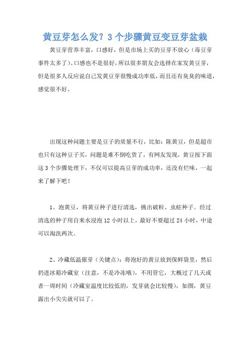 黄豆芽怎么发？3个步骤黄豆变豆芽盆栽