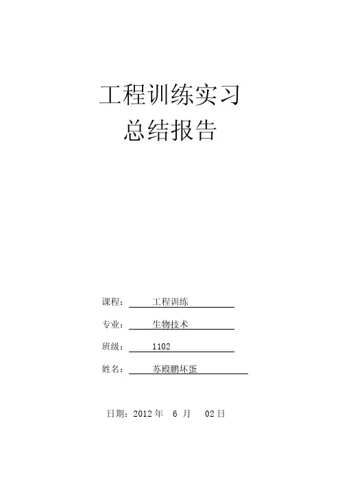 西南科技大学工程训练实习总结报告
