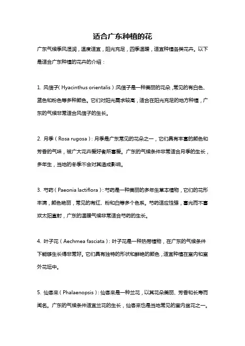 适合广东种植的花