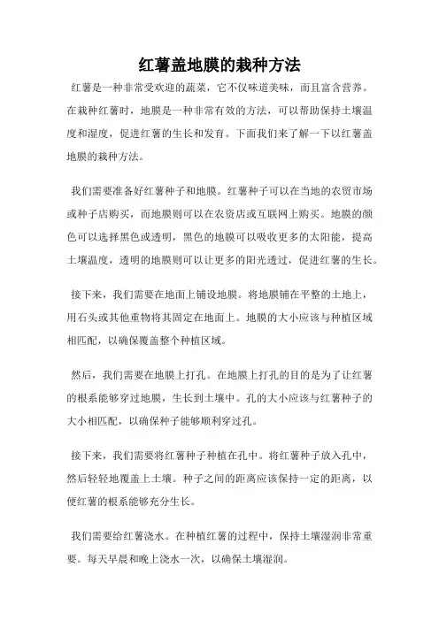 红薯盖地膜的栽种方法