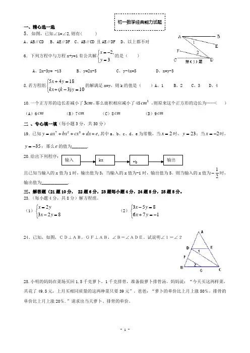 初一数学经典能力试题