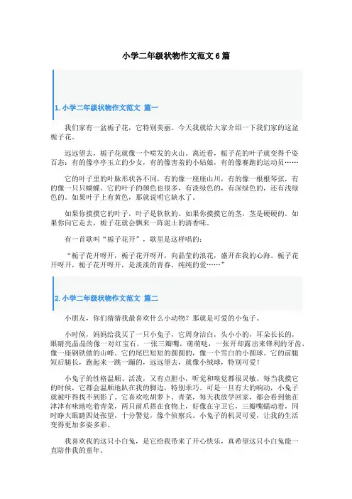 小学二年级状物作文范文6篇