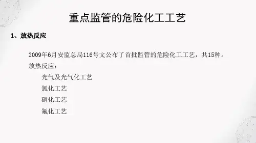 危险化工工艺安全技术 重点监管的危险化工工艺