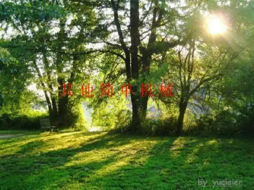 九年级物理《其他简单机械》