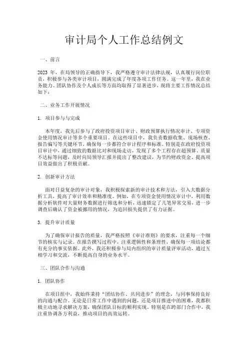 审计局个人工作总结例文