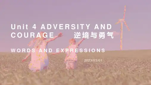 +Unit4+Adversity+and+courage+Words+and+Expressions