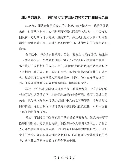 团队中的成长——共同铸就优秀团队的努力方向和自我总结