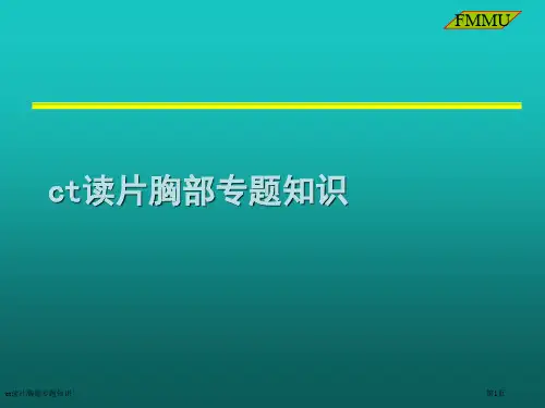 ct读片胸部专题知识
