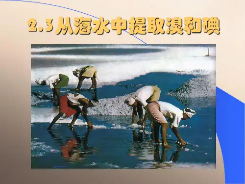 沪科版化学高一上册-2.3 从海水中提取溴和碘 课件 优秀课件