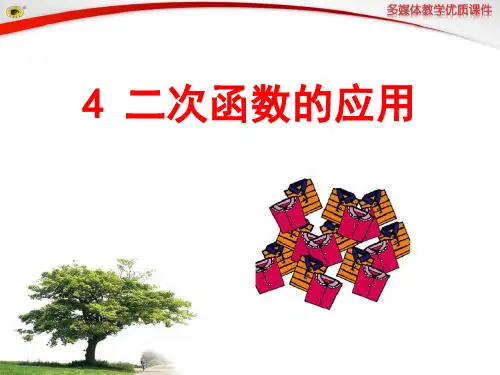 数学 5二次函数的应用-课件