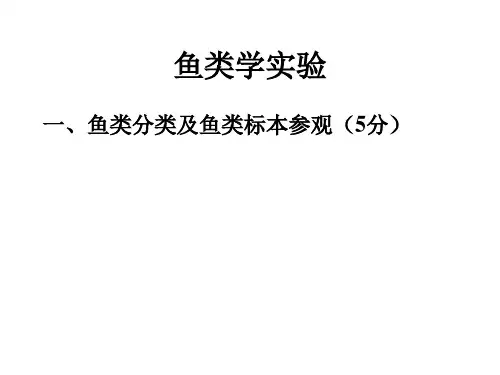 鱼类学实验PPT课件