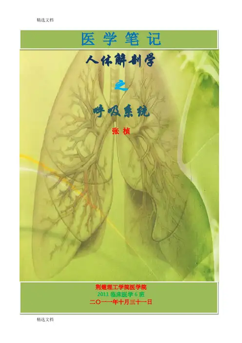 2020年医学笔记：人体解剖学之呼吸系统精品版