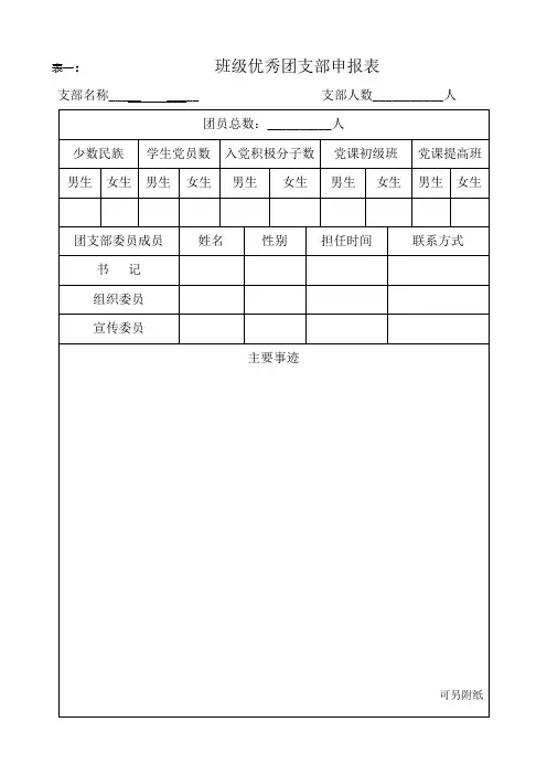 班级优秀团支部申报表