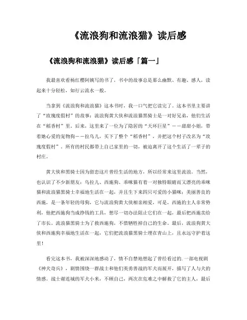 《流浪狗和流浪猫》读后感