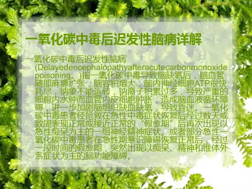 一氧化碳中毒后迟发性脑病详解学习资料