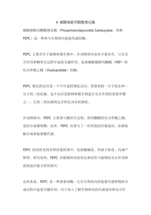 a 磷酸烯醇丙酮酸羧化酶