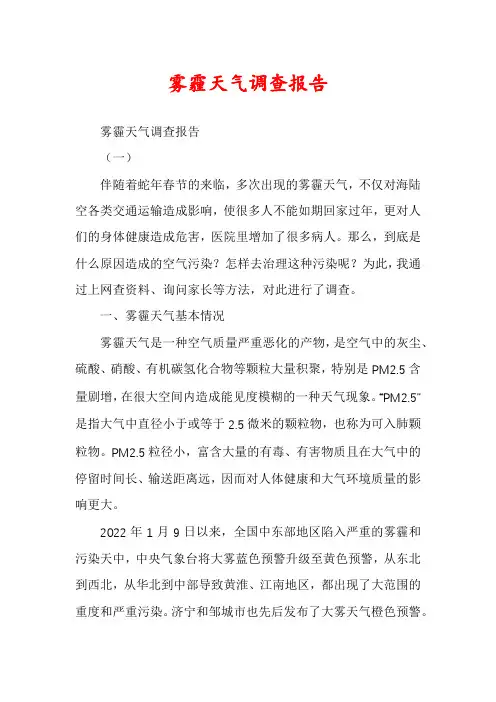 雾霾天气调查报告