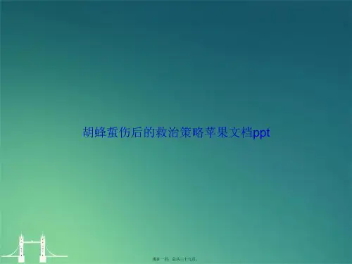 胡蜂蜇伤后的救治策略苹果讲课文档