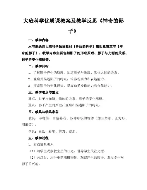 大班科学优质课教案及教学反思《神奇的影子》