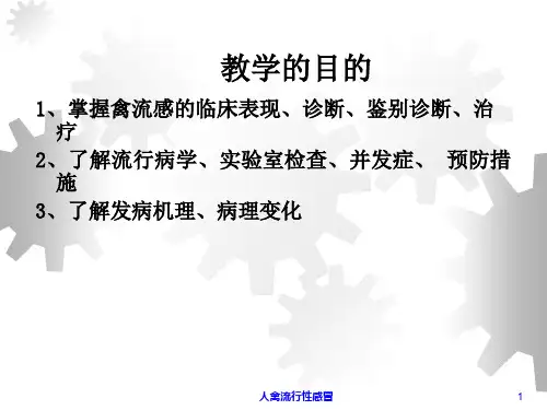 人禽流行性感冒培训课件