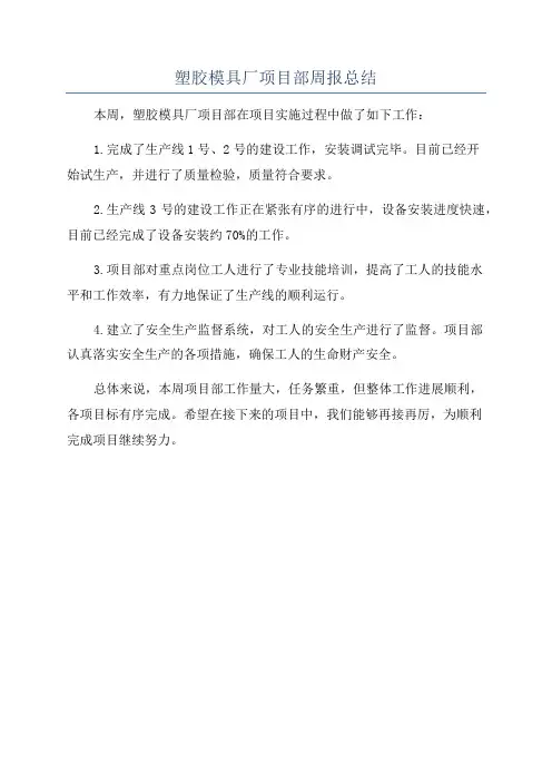 塑胶模具厂项目部周报总结