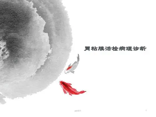 胃粘膜活检病理诊断  ppt课件