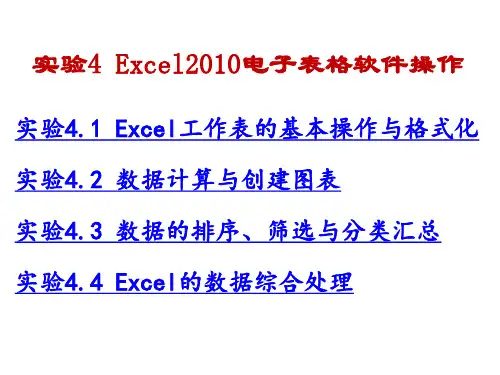 Excel2010电子表格软件操作