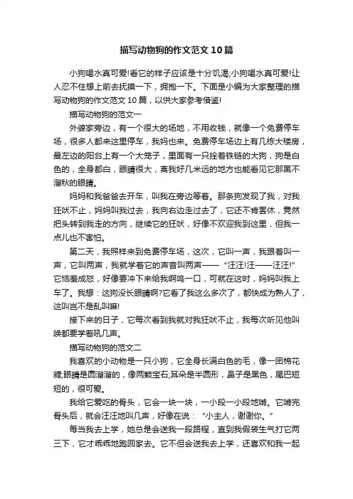 描写动物狗的作文范文10篇
