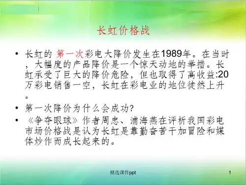 《价格战背景分析》PPT课件