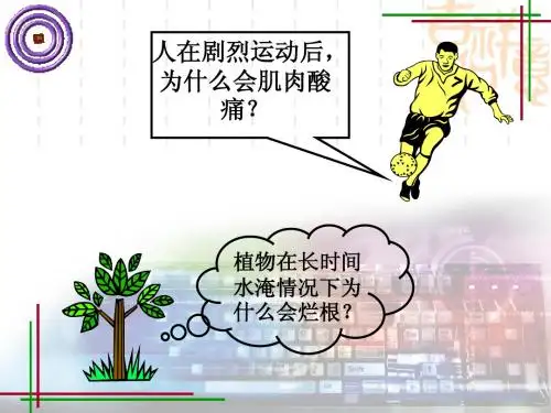 人教版必修一第五章第三节细胞呼吸-无氧呼吸