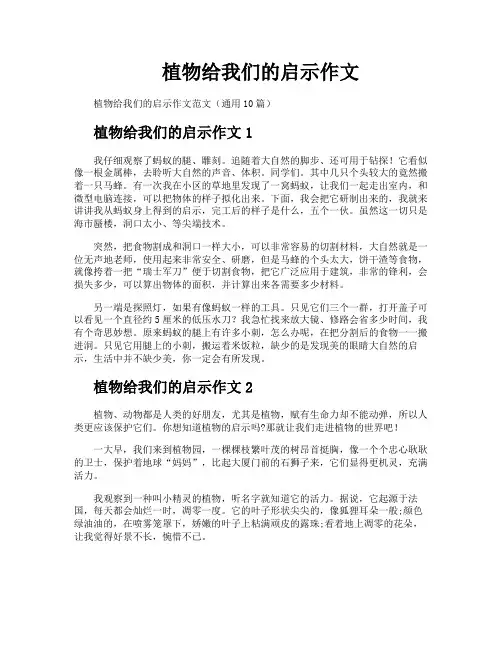 植物给我们的启示作文