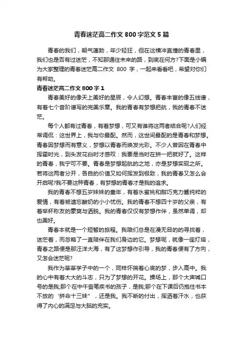 青春迷茫高二作文800字范文5篇